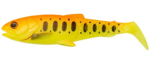 bolw-526562