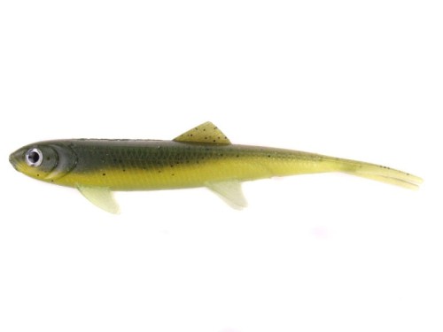 bolw-527565