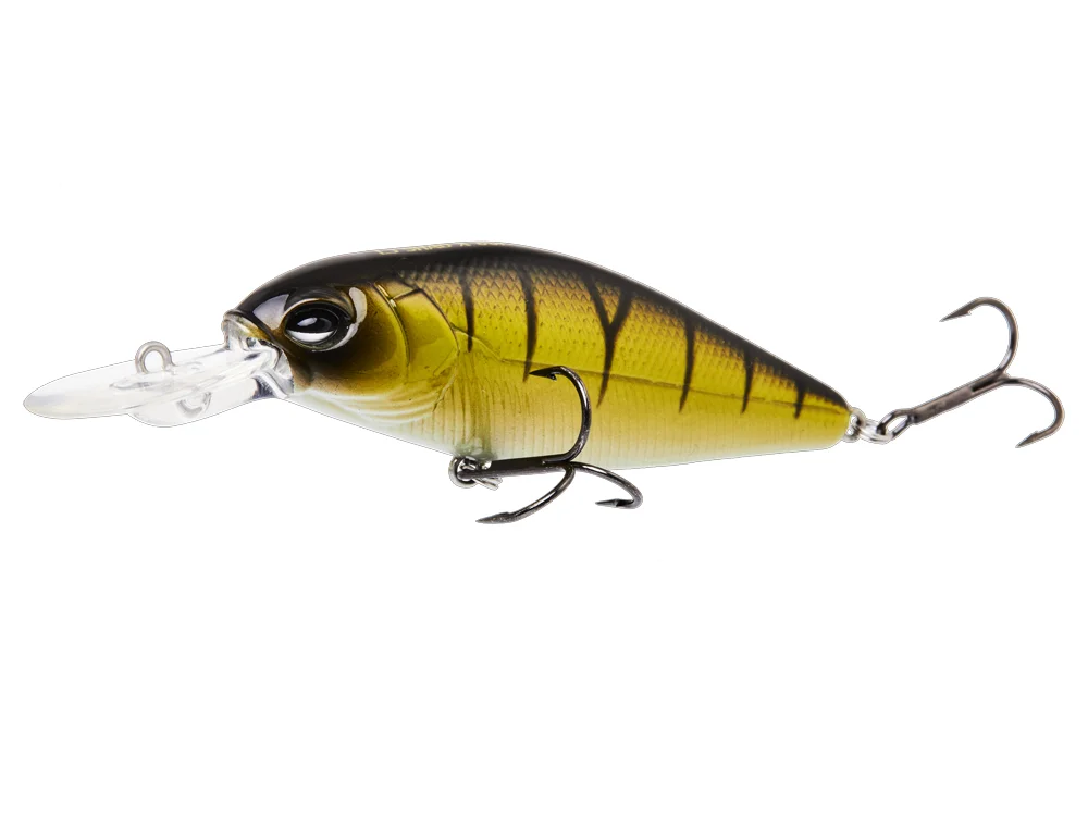 fishing-mart-509247