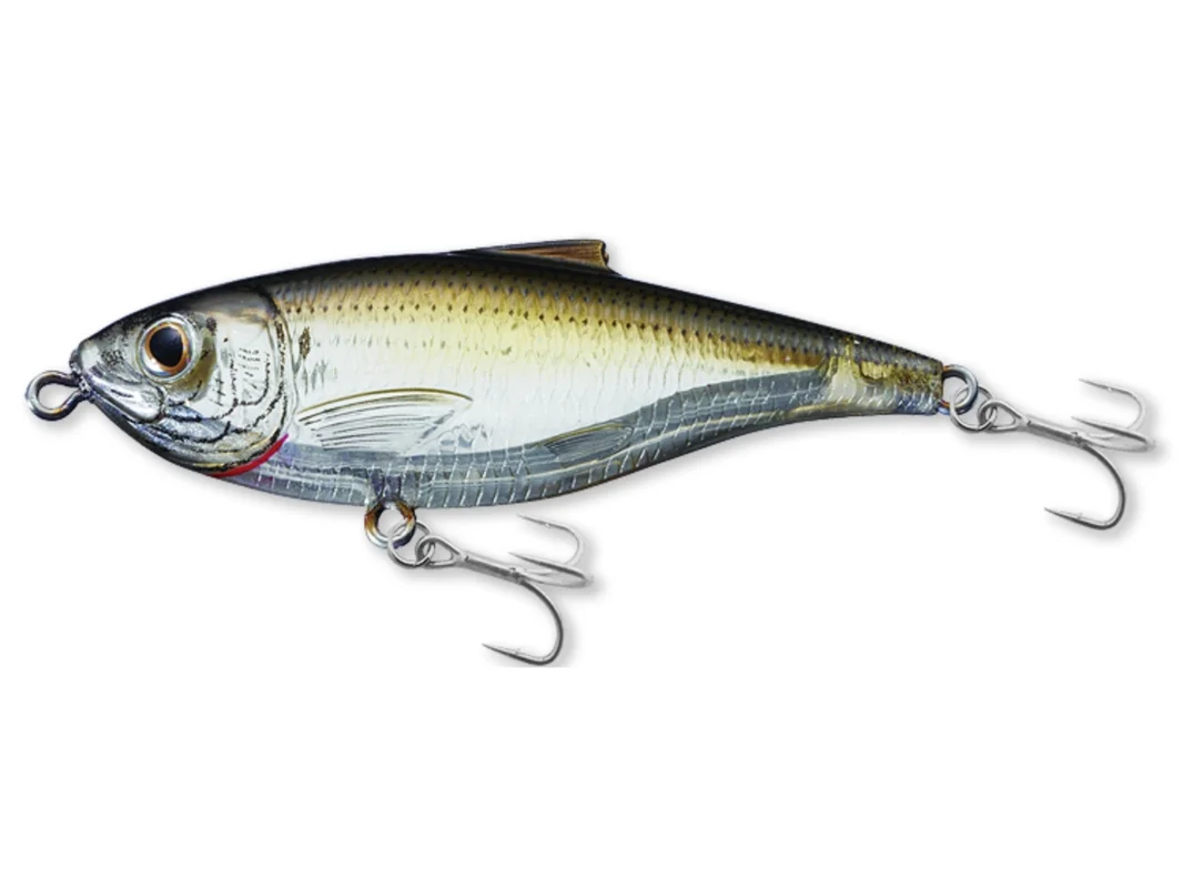 fishing-mart-509330