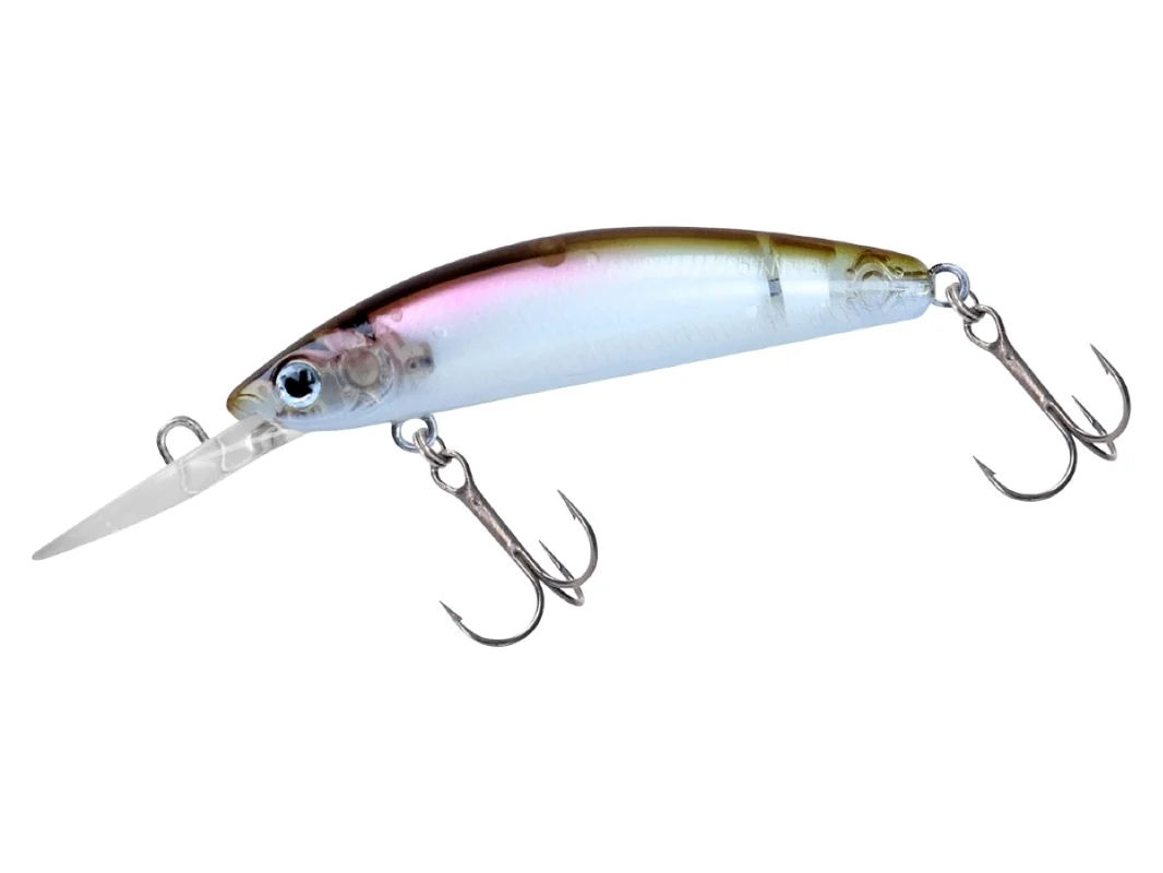 fishing-mart-509449