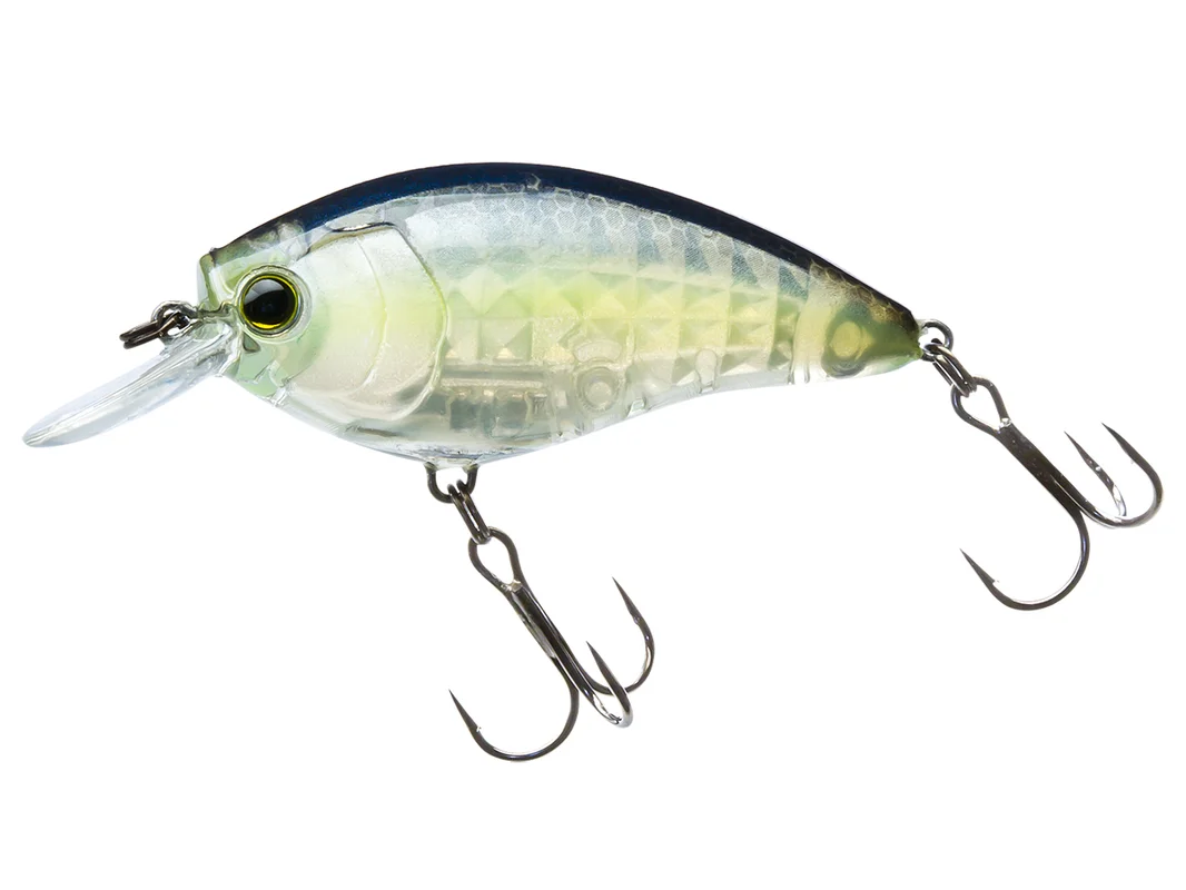 fishing-mart-509495