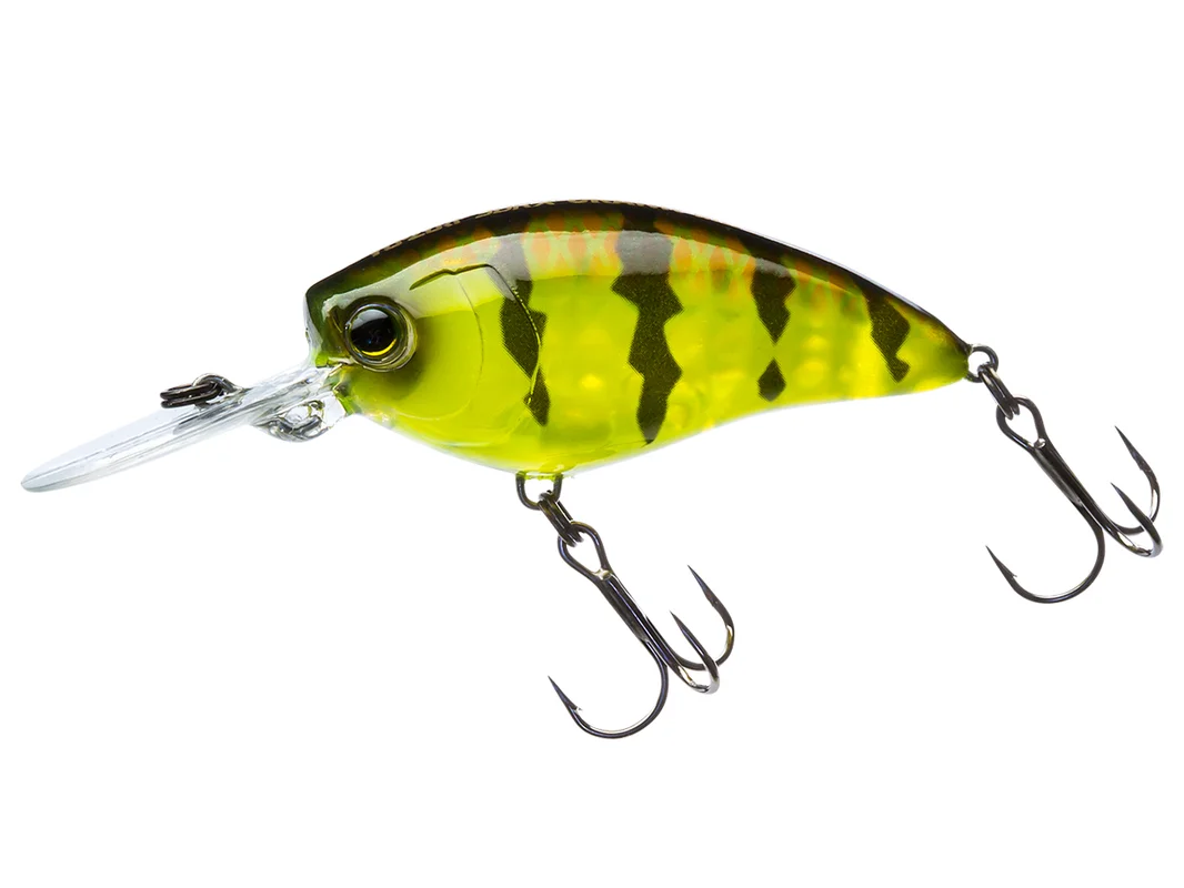 fishing-mart-509515