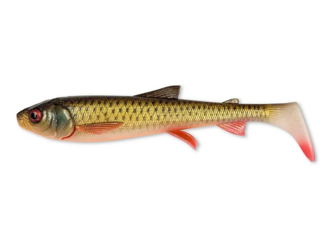 fishing-mart-509587