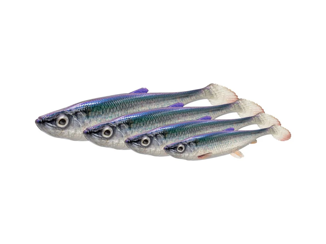 fishing-mart-509647