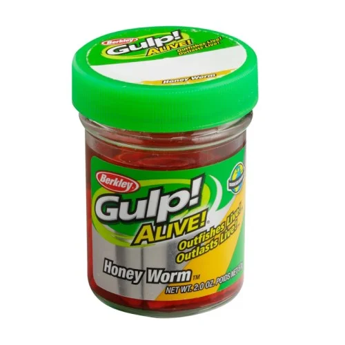 glowatka1-577890