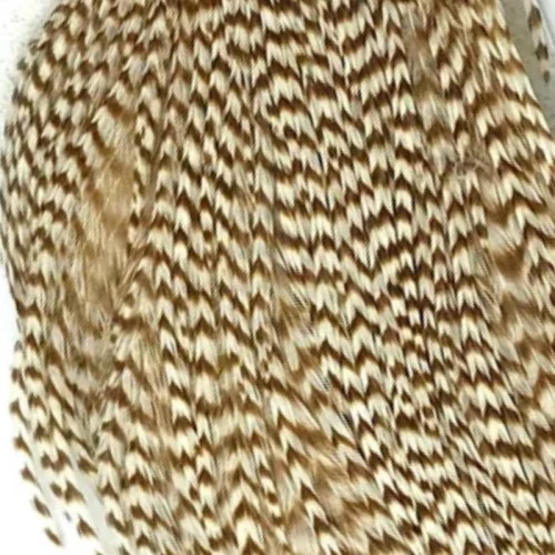 glowatka1-597458