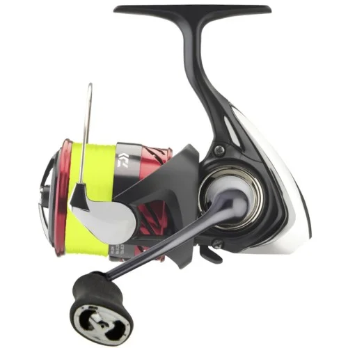 glowatka1-615874
