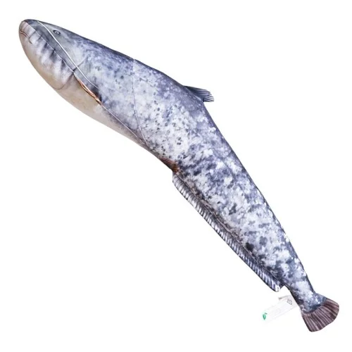 glowatka1-624641