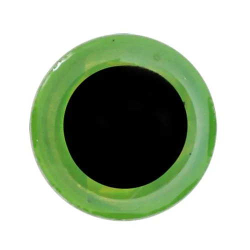 glowatka1-629757