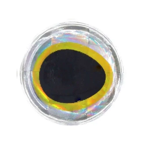 glowatka1-629772