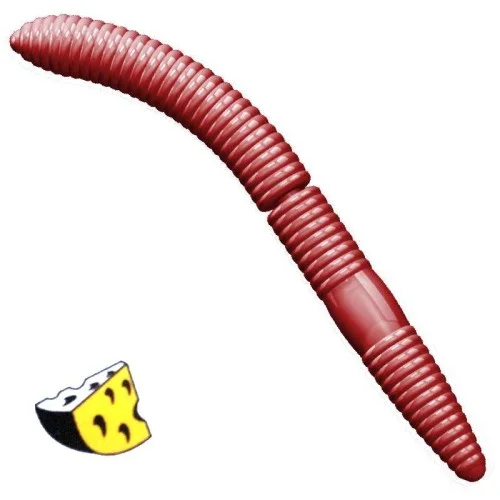 glowatka1-631587