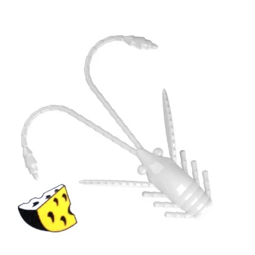 glowatka1-631697