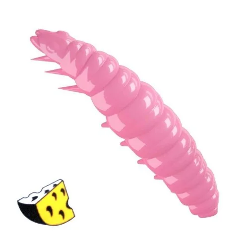 glowatka1-631812