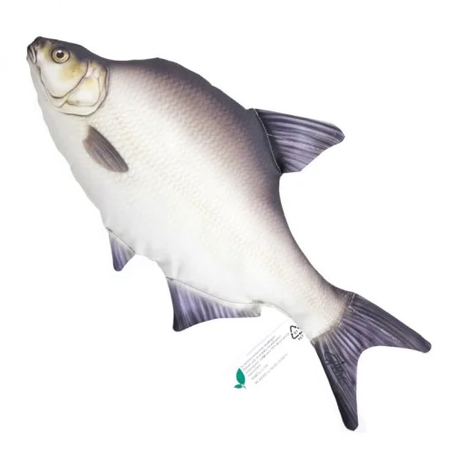 glowatka1-634131