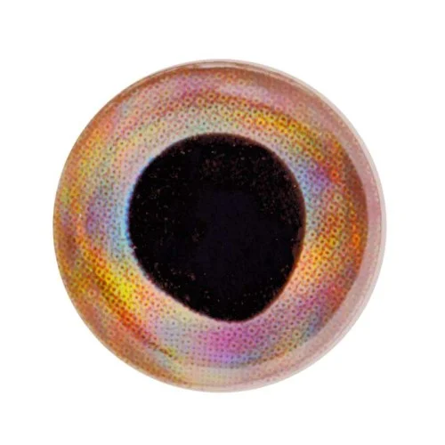 glowatka2-571462