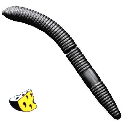 glowatka2-574083