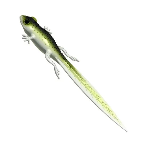 glowatka2-612911