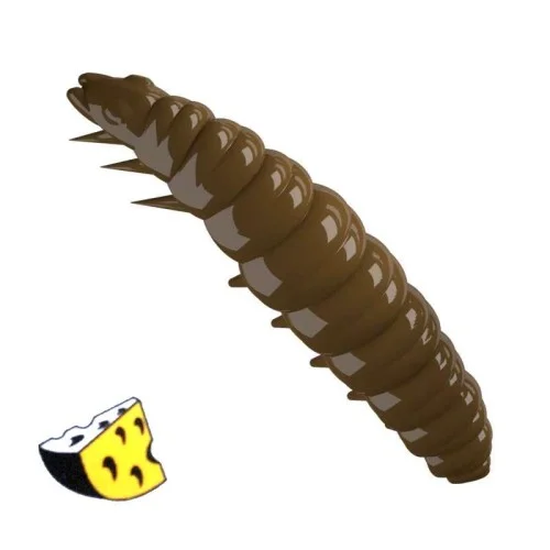 glowatka2-613560