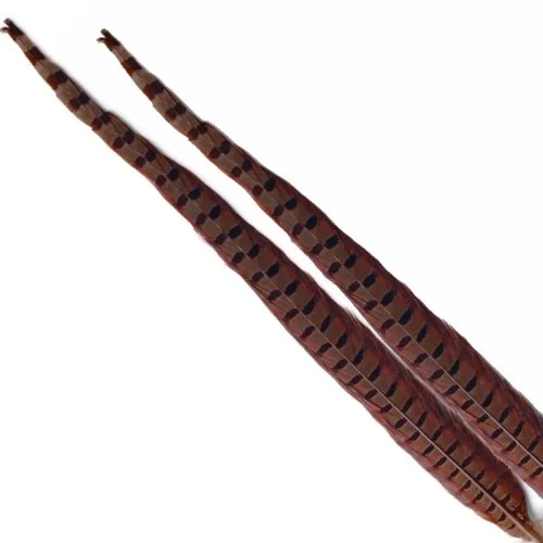 glowatka2-627002