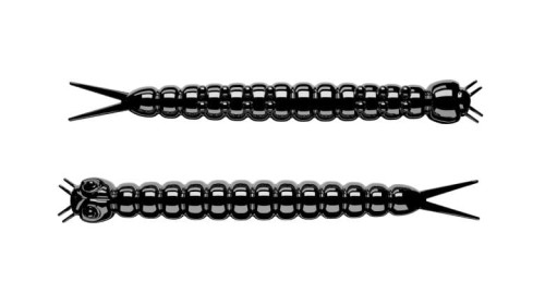 krokodyl1-569654