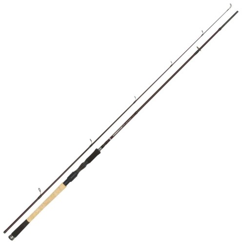krokodyl1-571647