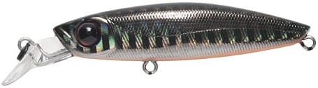 krokodyl1-571796