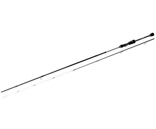 krokodyl1-572706