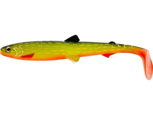 krokodyl1-573508