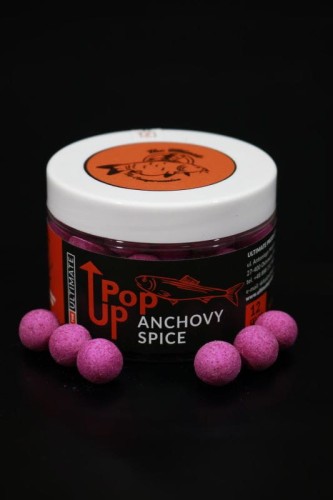 krokodyl1-574182