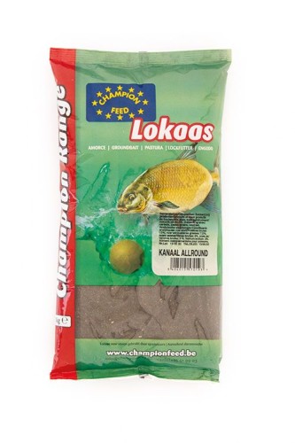 krokodyl1-574262