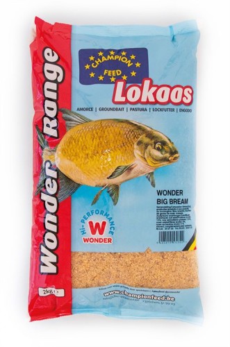 krokodyl1-574312