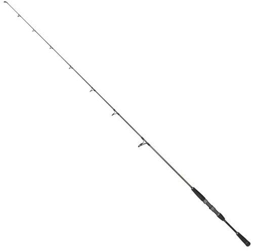 krokodyl1-577329