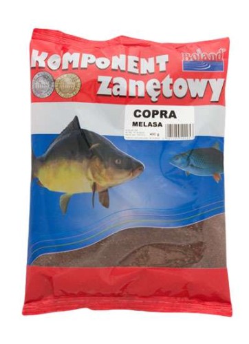 krokodyl1-578337