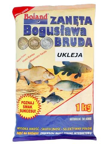 krokodyl1-578536