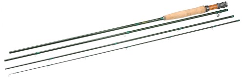 krokodyl1-583832
