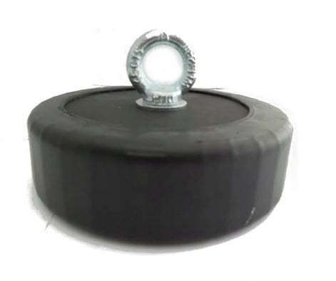 krokodyl1-585002