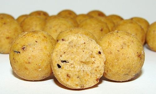 krokodyl1-589213