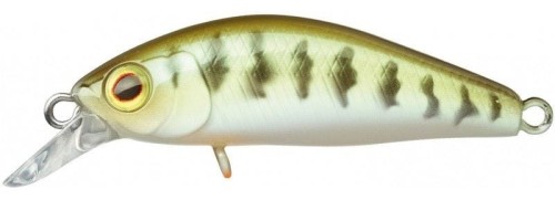 krokodyl1-593014
