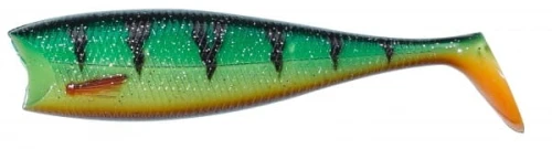 krokodyl1-593676