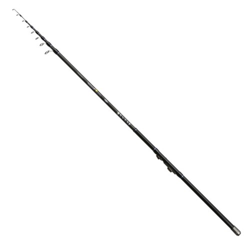 krokodyl1-604029