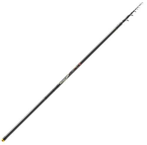 krokodyl1-604063