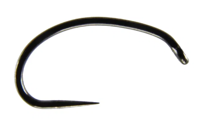 krokodyl1-609482