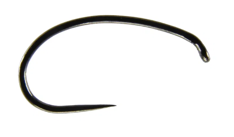 krokodyl1-609510