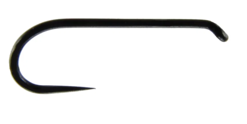 krokodyl1-609584
