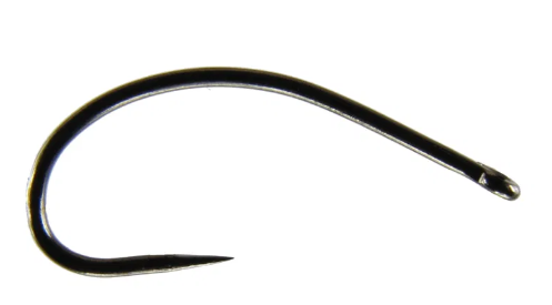 krokodyl1-609617