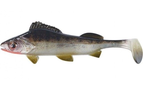 krokodyl1-612006