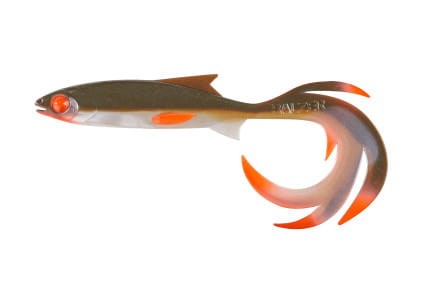 krokodyl1-612075