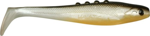 krokodyl1-616264