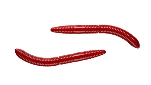 krokodyl1-618433
